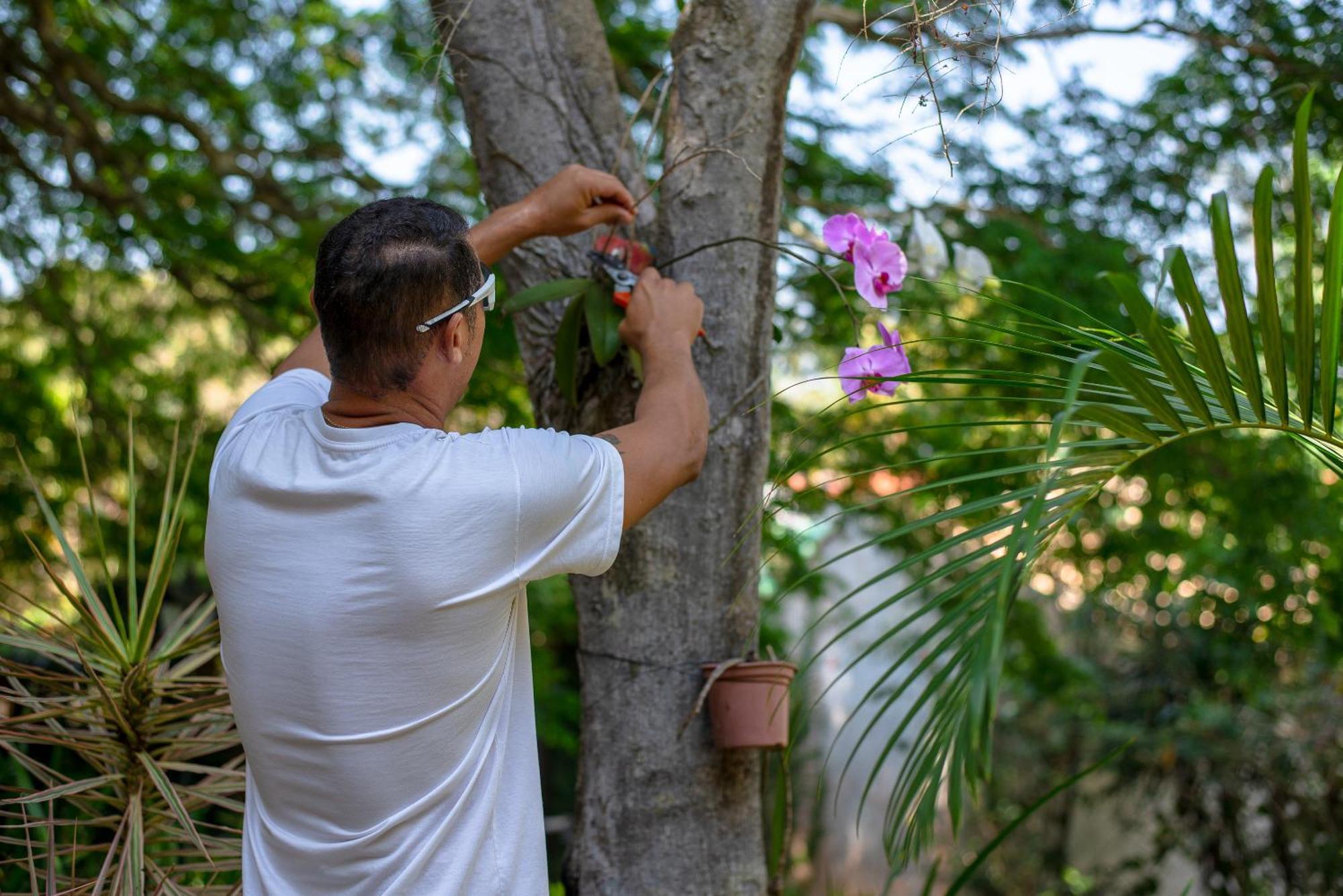 Villa Bella Ferradura Búzios Zewnętrze zdjęcie